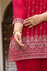 Plus Size Fiza Rani Pink Embroidered Co-ord Set